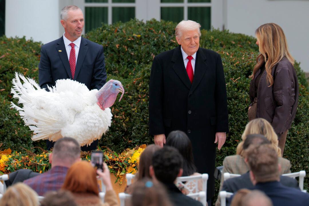 Trump Pardons 2 Turkeys, Gobble and Waddle, in Thanksgiving Tradition