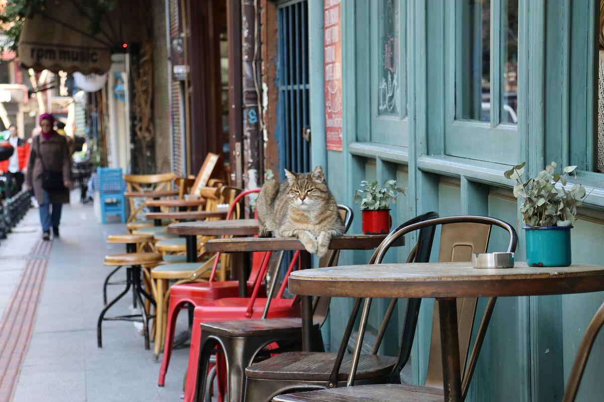 Life becomes more lovely when we rediscover the beauty in small, unassuming moments. (Maria Sbytova/Pexels)