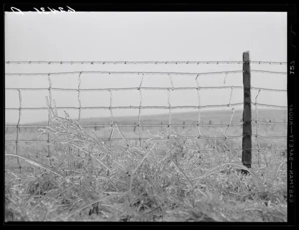 Joseph F. Glidden: The Man Who Fenced in America