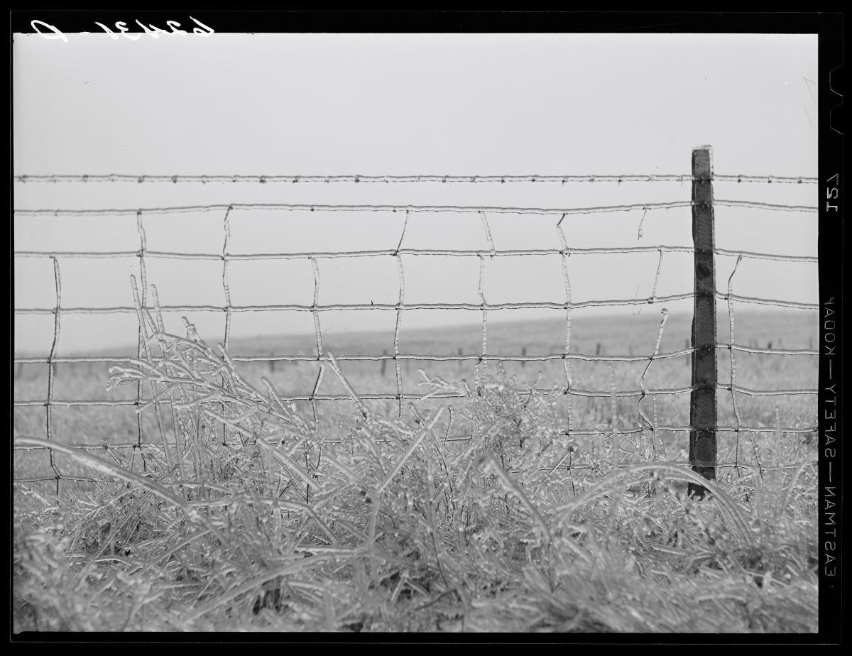 Joseph F. Glidden: The Man Who Fenced in America