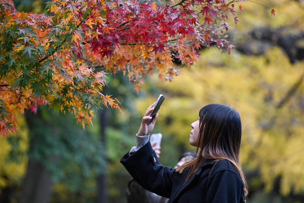 Foreign Visitor Numbers to Japan Up 10 Percent in November, Despite China Travel Boycott thumbnail