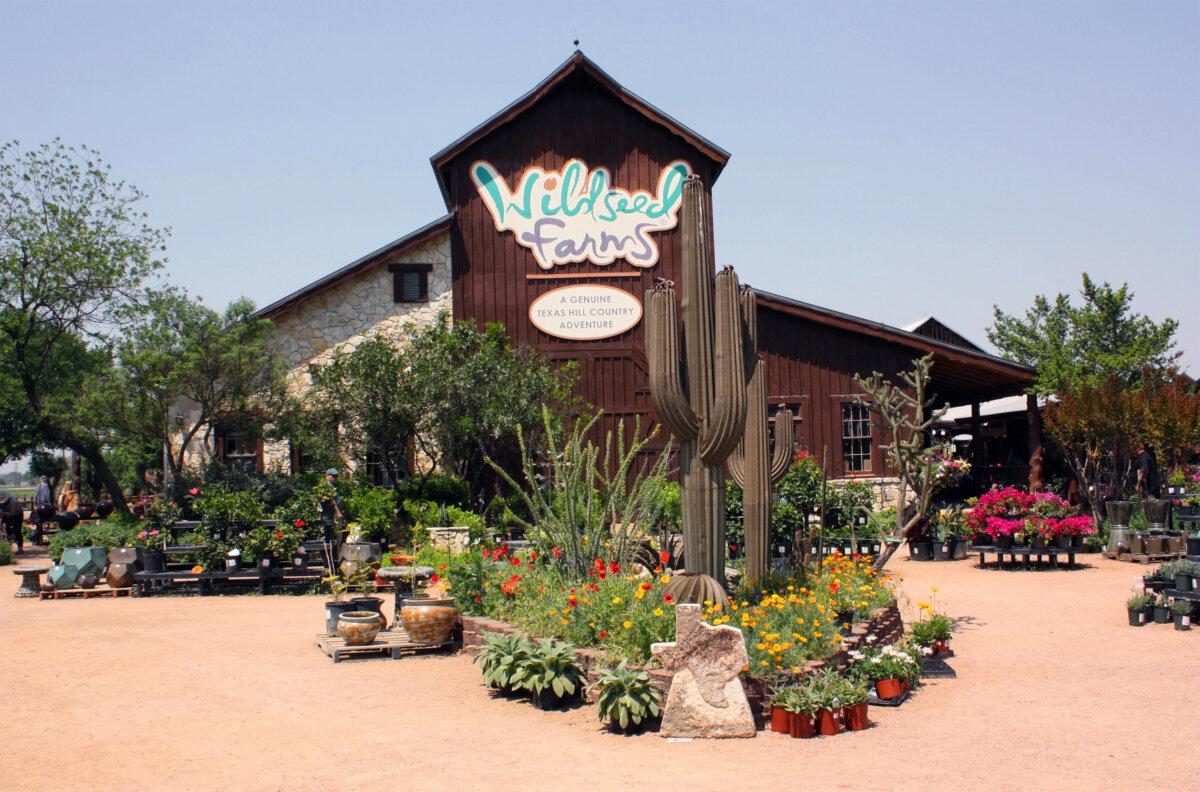 Wildseed Farms is the largest wildflower farm in the United States. (Wildseed Farms/TNS)