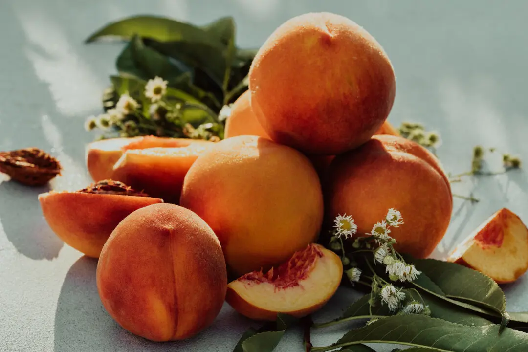 Juicy Fruits: Tropicals and Subtropicals for American Gardens