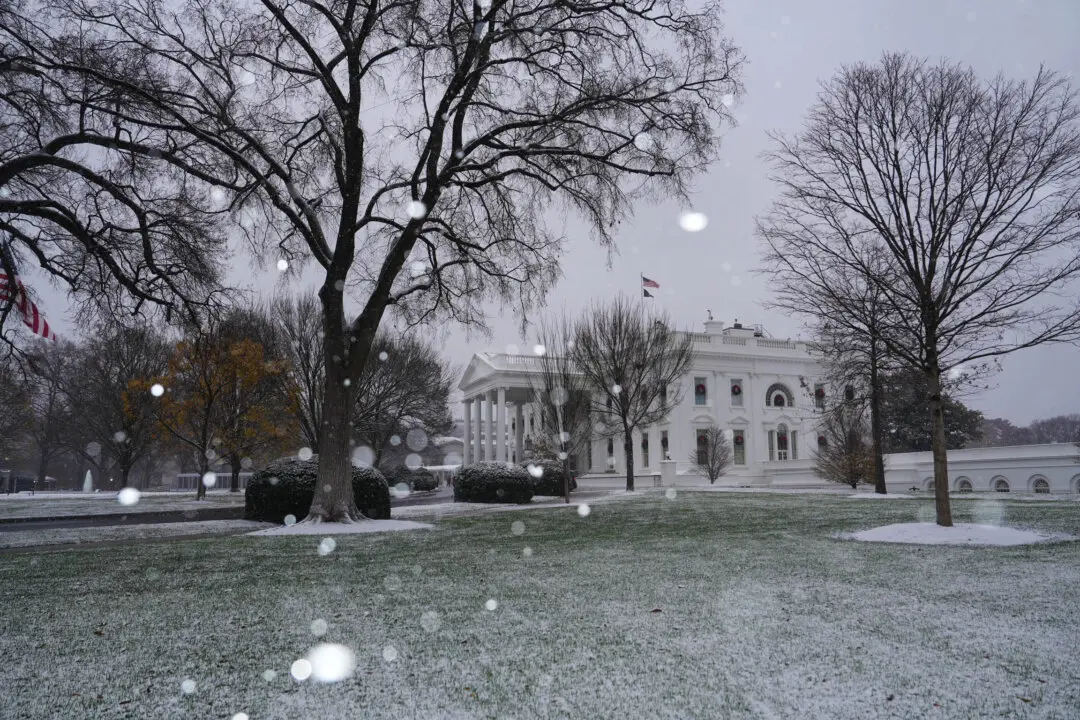 The Power of the President to Hire and Fire