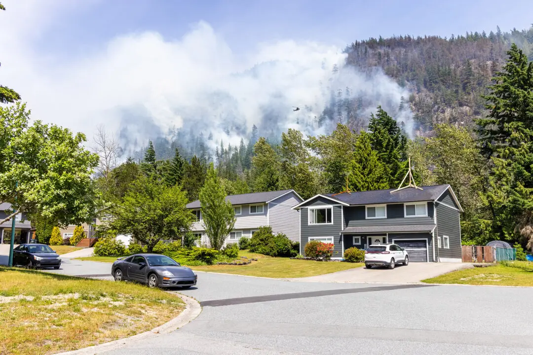 Ember Defenders: Practical Steps to Home Wildfire Protection