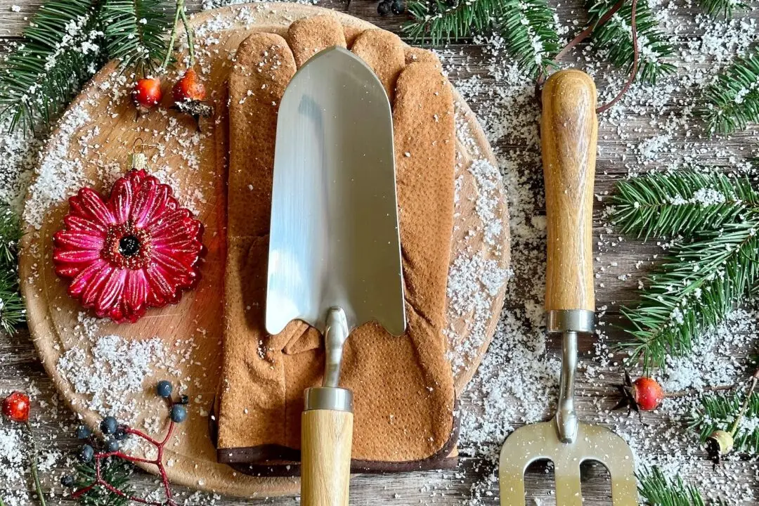 More Garden Gift Ideas