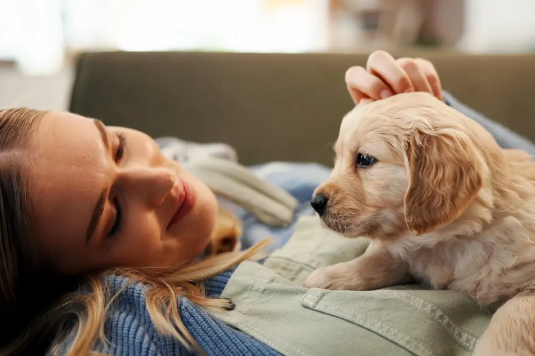 Healthy Lifestyle May Lessen Dog’s Cancer Risk