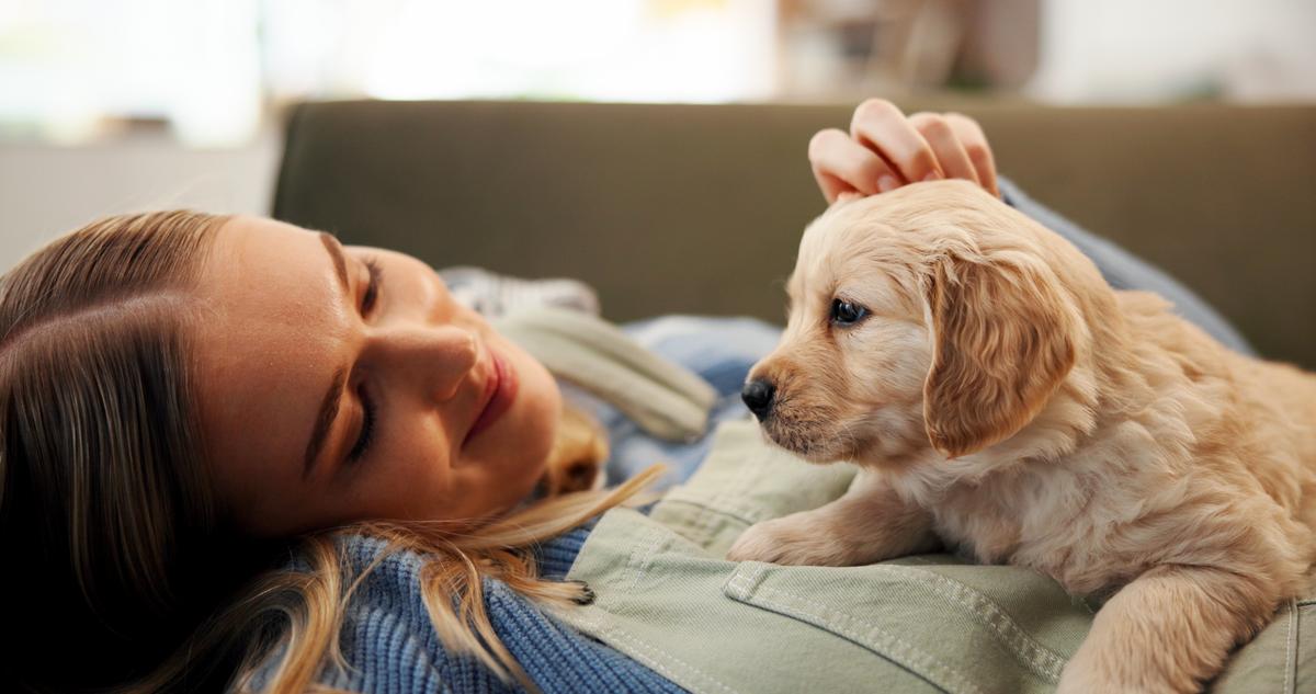 Healthy Lifestyle May Lessen Dog’s Cancer Risk