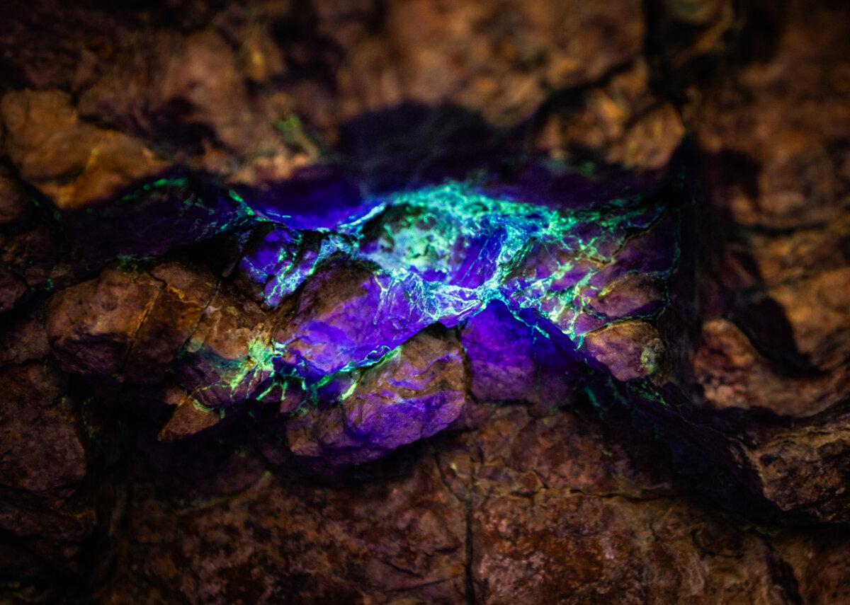 A black light reveals the colors of a uranium deposit in San Bernardino County, Calif., on Dec. 10, 2025. (John Fredricks/The Epoch Times)
