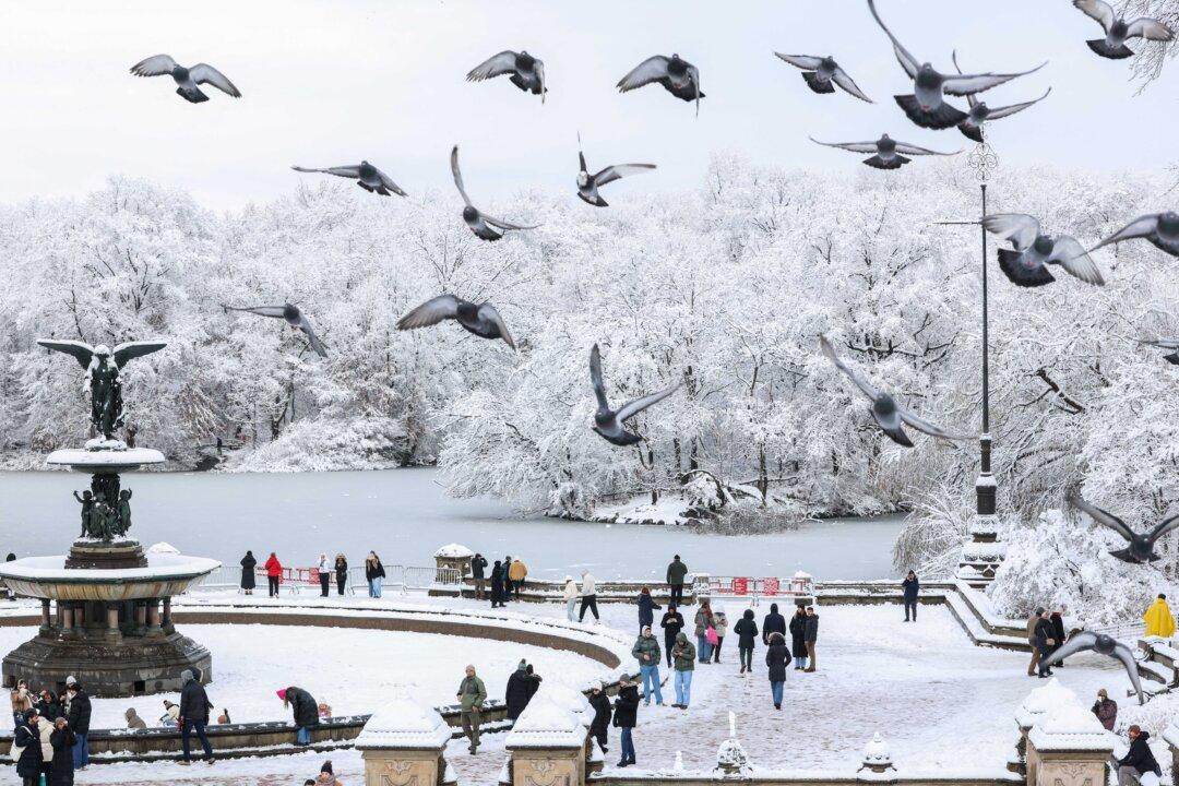 America in Photos: First Snow in the City, Flooding in Snohomish, and Honoring the Fallen