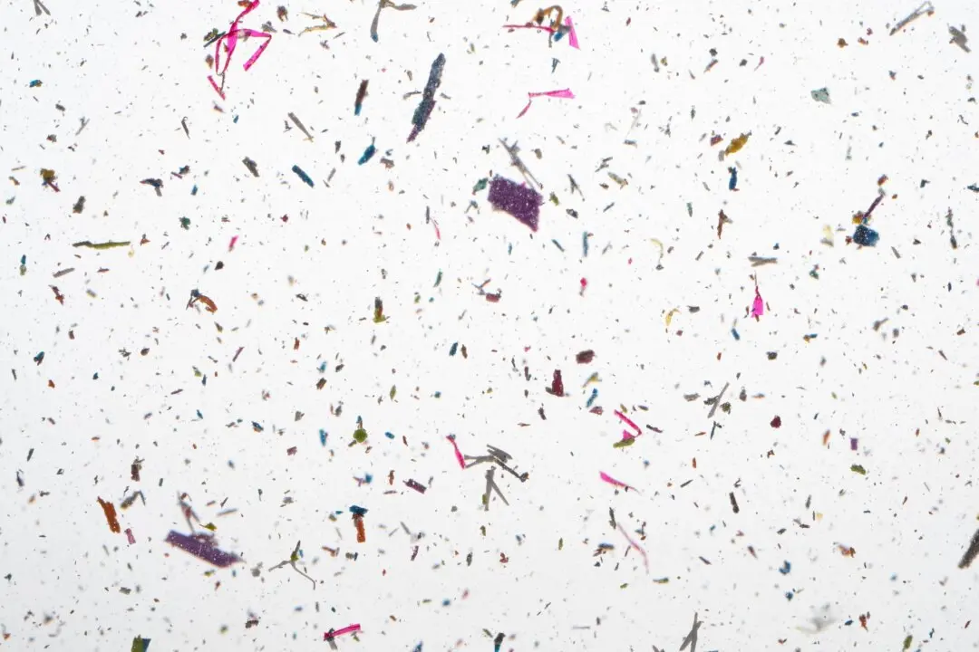 Common Household Sources of Microplastics Plus Easy Swaps