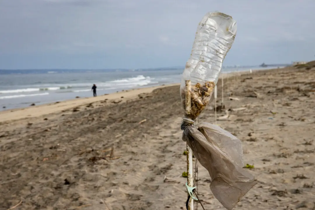 US, Mexico Reach Agreement to Fix Tijuana River Sewage Crisis: EPA