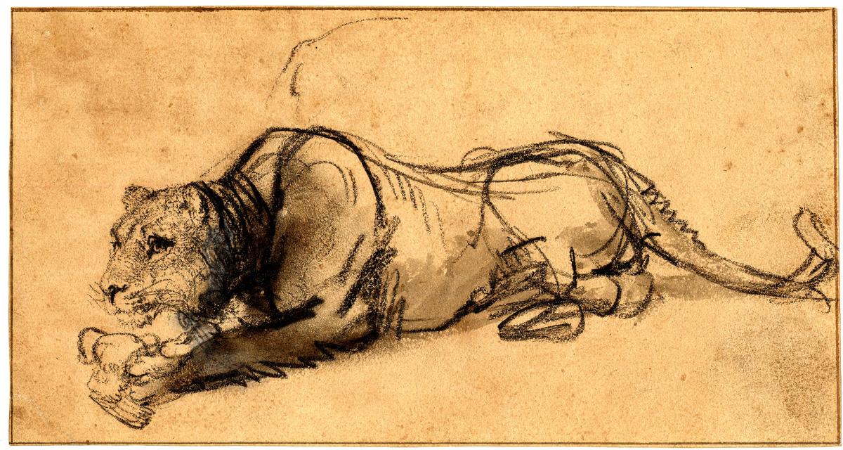 "A Lioness Devouring a Bird, Lying Down With Her Head to the Left," circa 1637, by Rembrandt van Rijn. Charcoal with gray wash heightened with white on paper prepared with brown wash; 5 inches by 9 2/5 inches. British Museum, London. (Public Domain)