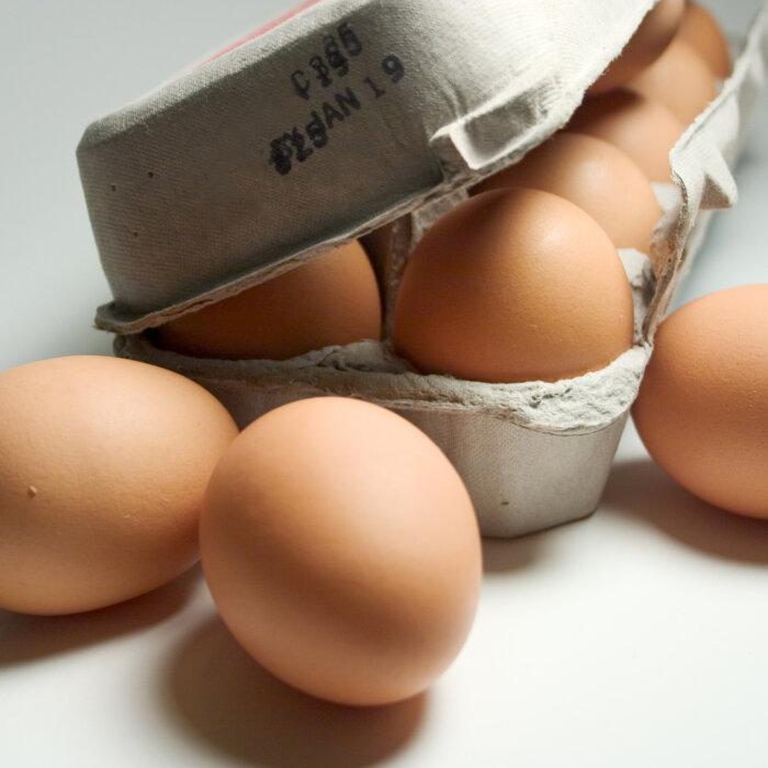 Debunking Dietary Deceptions: Do Eggs Raise Your Cholesterol?