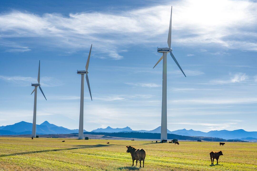 Tracing the Billions Spent on Net-Zero at All Levels of Government in Canada