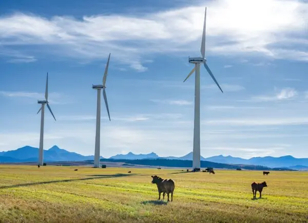 Tracing the Billions Spent on Net-Zero at All Levels of Government in Canada