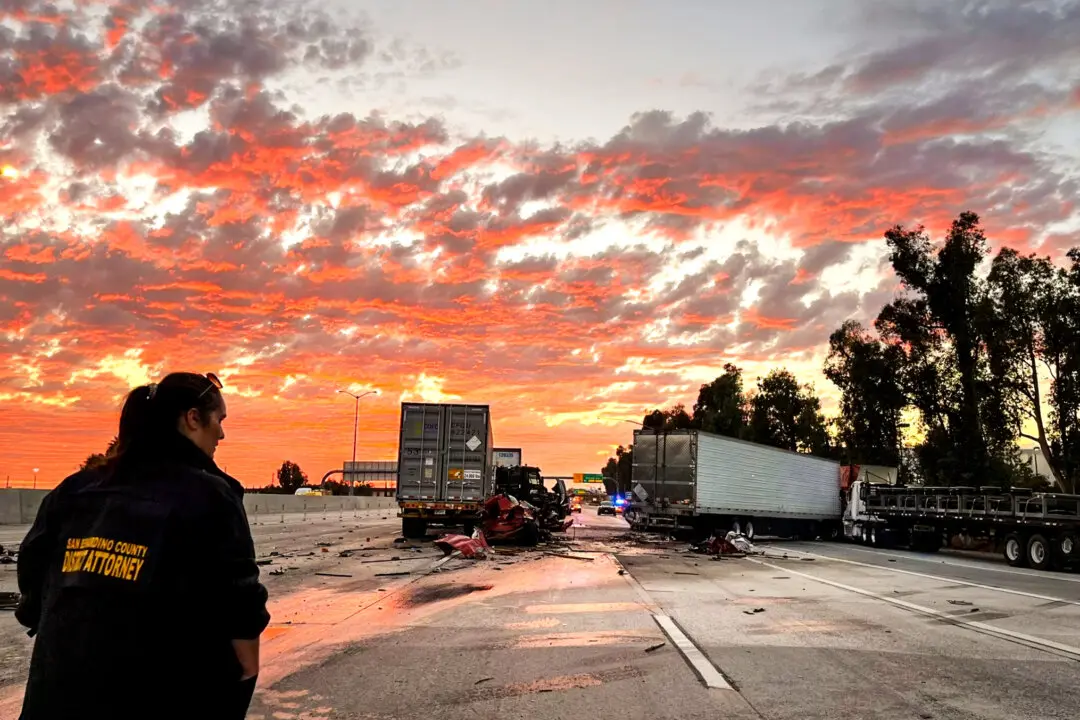Safer Roads, More Work: Truckers Welcome Crackdown on Illegal Drivers