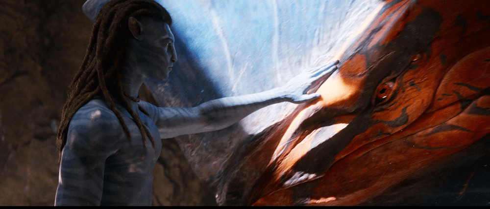 Jake Sully with the legendary Toruk Makto, an apex aerial predator that he tamed in the first Avatar movie, in "Avatar: Fire and Ash." (20th Century Studios)