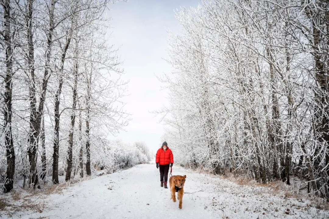 Western and Northern Canada Braces for Chilly, Snowy Christmas
