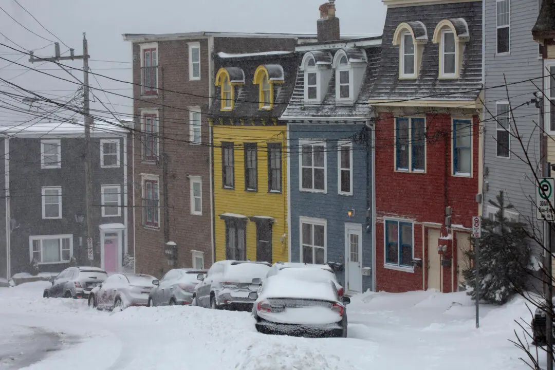 Much of NL Under Winter Storm Warnings as Heavy Snow and Winds Hit the Coast