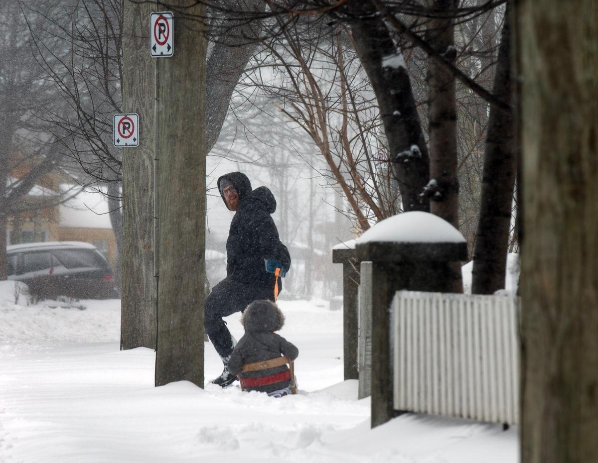 Freezing Rain, Snow Expected in Parts of Ontario as Newfoundland Braces for Blizzards