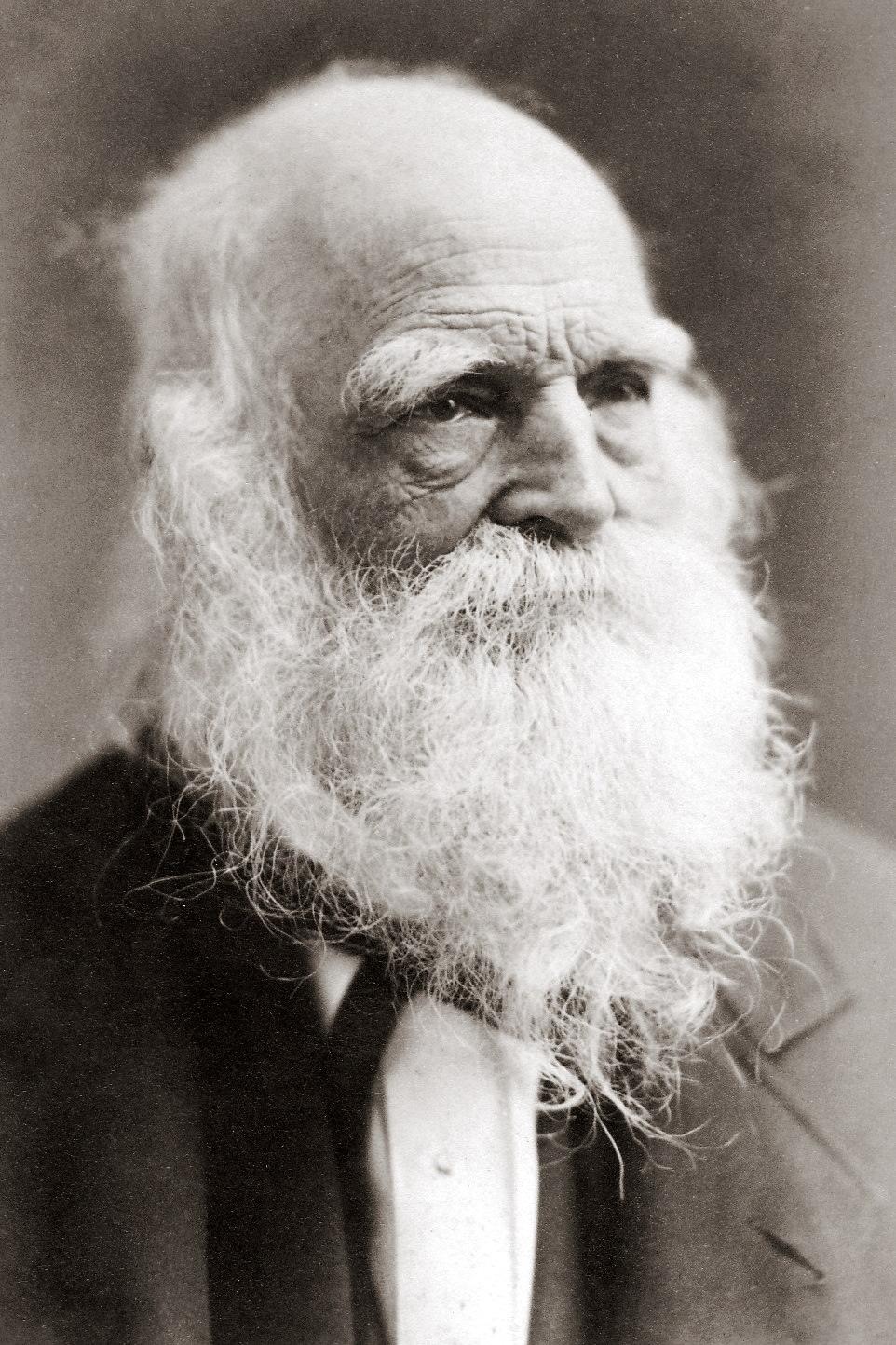 Cabinet card of William Cullen Bryant, circa 1876, by José María Mora. (Public Domain)