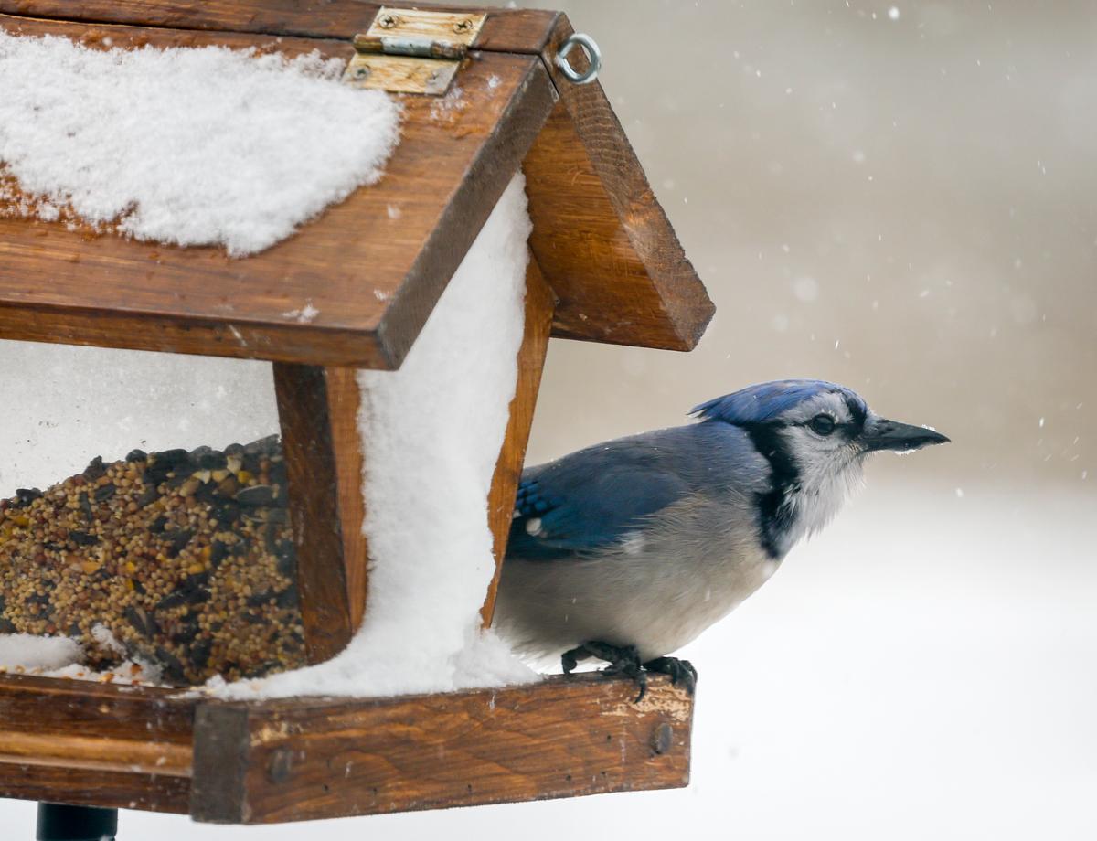 About 20 Weather Warnings in Effect Across Canada as Rain, Snow, Cold Hammer Country