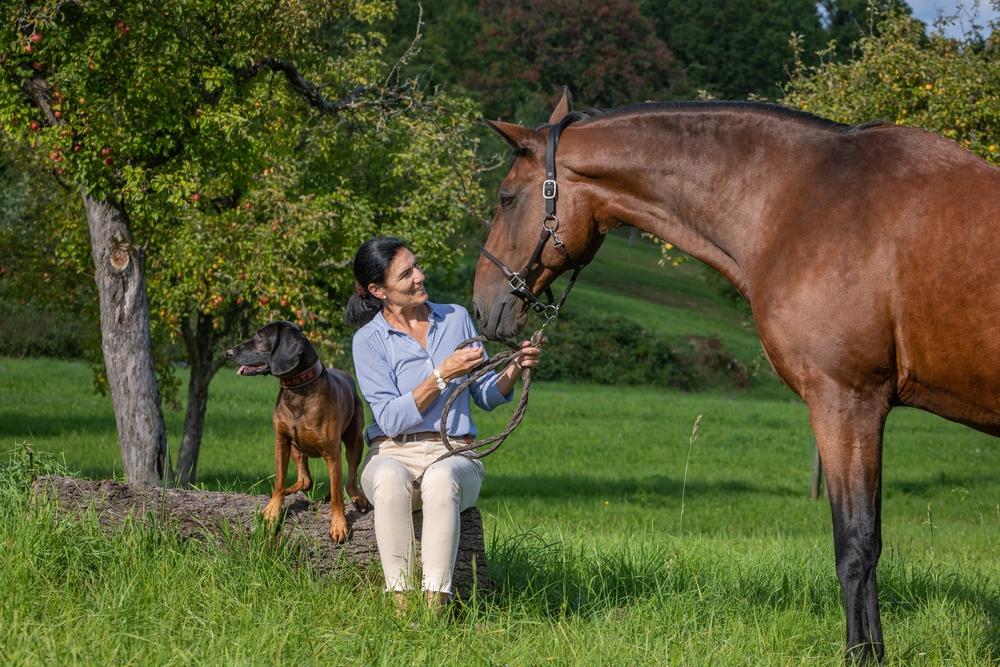 Understanding animals is a great gift. (msgrafixx/Shutterstock)