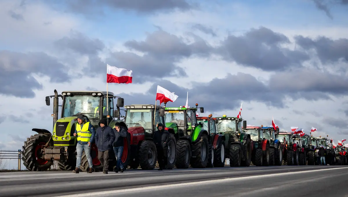 Day in Photos: Farmers’ Protest in Poland, Preparing New Year’s Fireworks, and Newborn Elephant Calf thumbnail