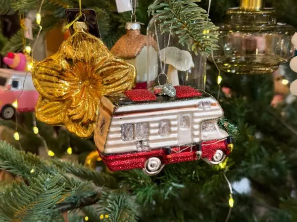 Taking the Kids: It’s Time!