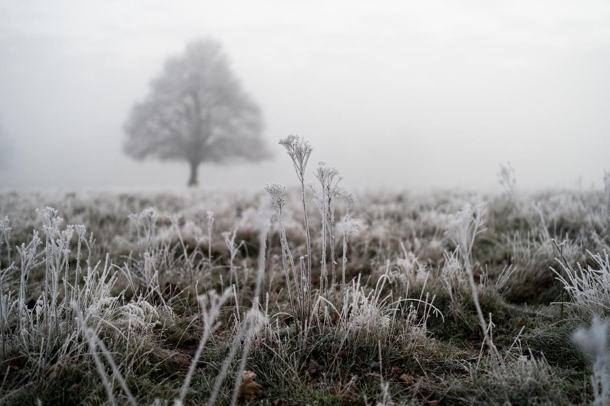 Temperatures Forecast to Drop Next Week With Potential for Snow