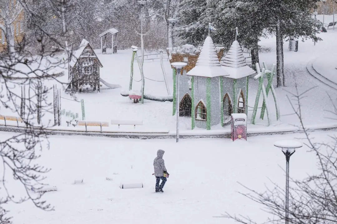 Sweden’s Whirlwind Election Year