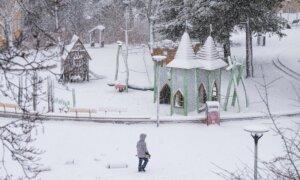 Sweden’s Whirlwind Election Year