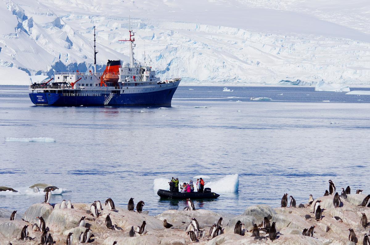 Exploring Antarctica means navigating a starkly beautiful but silent landscape. (Bob Brewer/Unsplash)