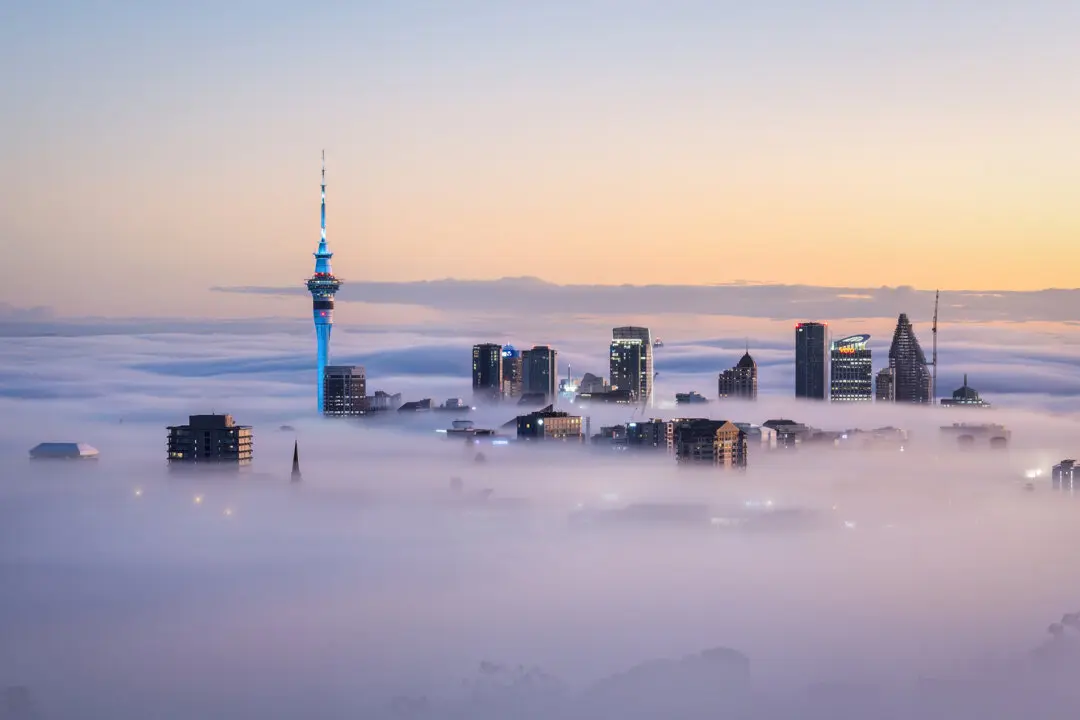 24 Hours in Auckland