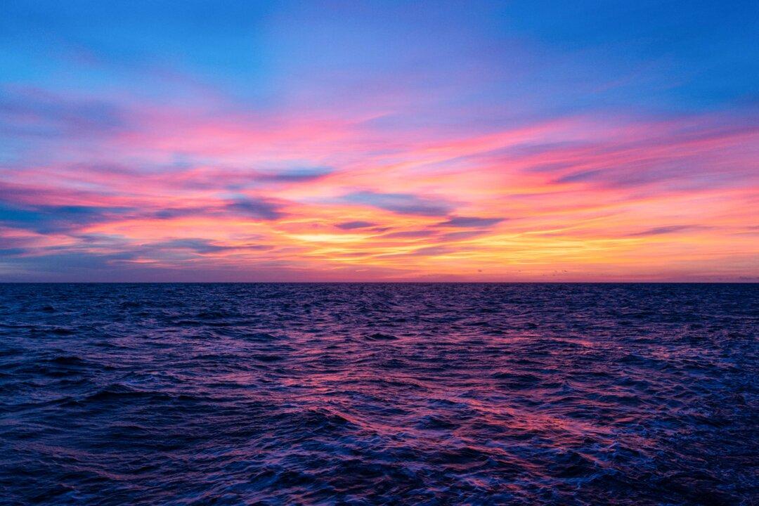 UN Global Treaty on Ocean Conservation Takes Effect