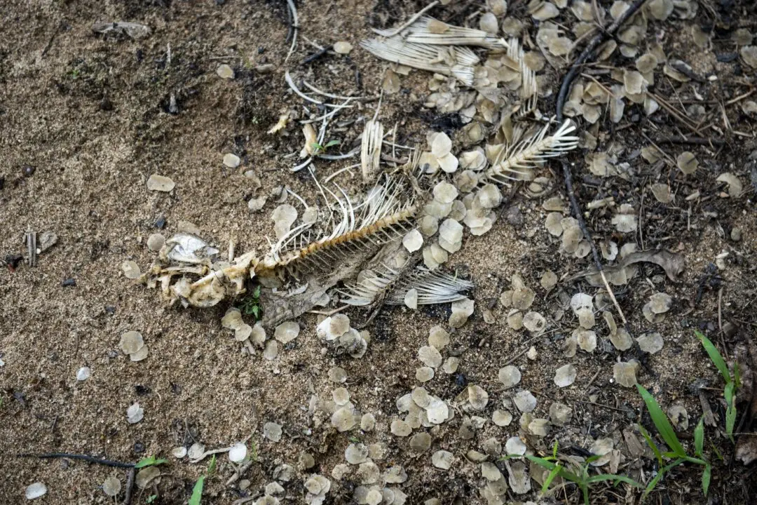 Quebec Chemical Firm Hit With $1.4-Million Fine Over Substance Discharged in River