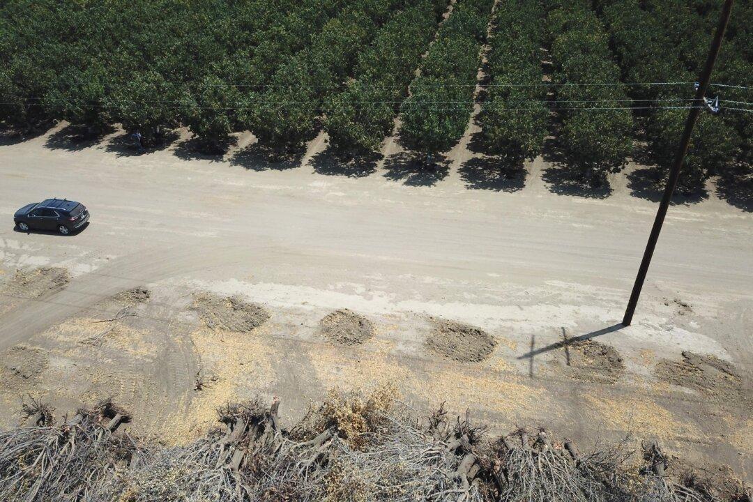 California Farming CEO Flags Investment Pitfalls, Urges Sustainable Focus