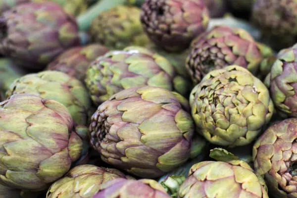 Environmental Nutrition: The Heart of the Artichoke