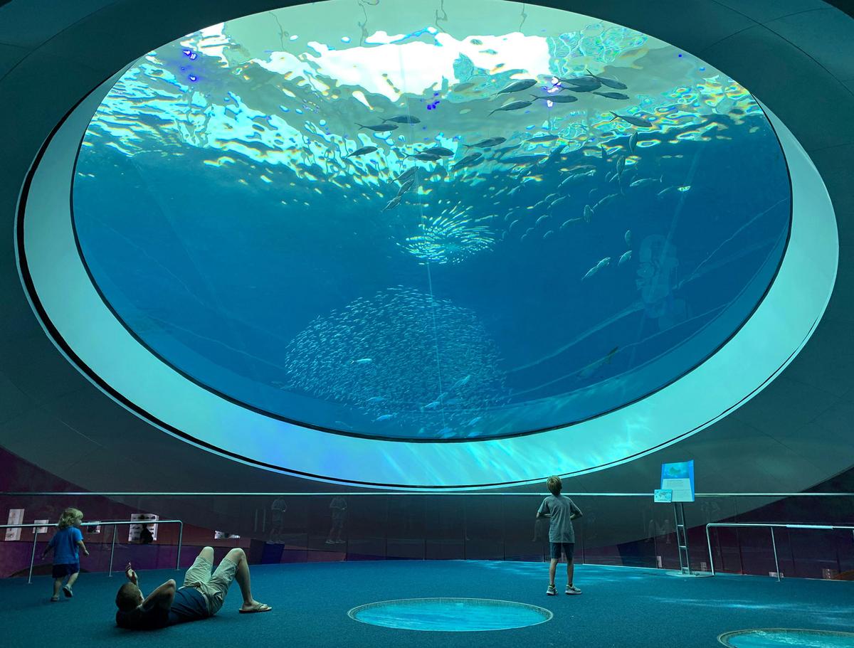 The Phillip and Patricia Frost Museum of Science features a multi-level aquarium, planetarium, and interactive science exhibits. (Julen Garces/Pexels)
