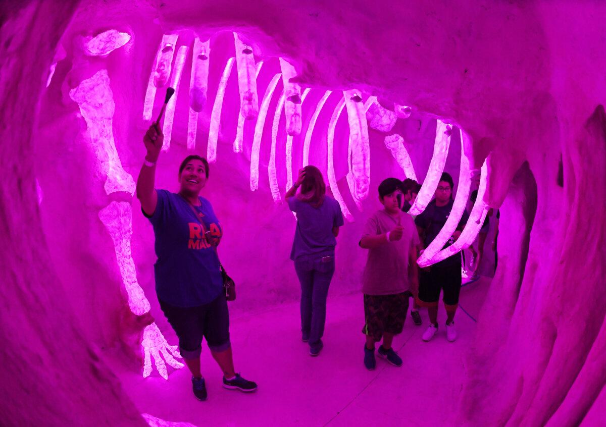 The Meow Wolf tourist attraction, which has been described as an "immersive, multimedia experiences," at its location in an old bowling alley in Santa Fe, New Mexico on July 31, 2017. (Mark Ralston/AFP via Getty Images/TNS)