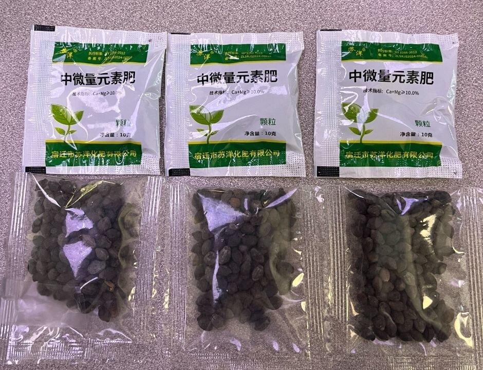 Texans Report Surge in Mystery Seeds Mailed From China