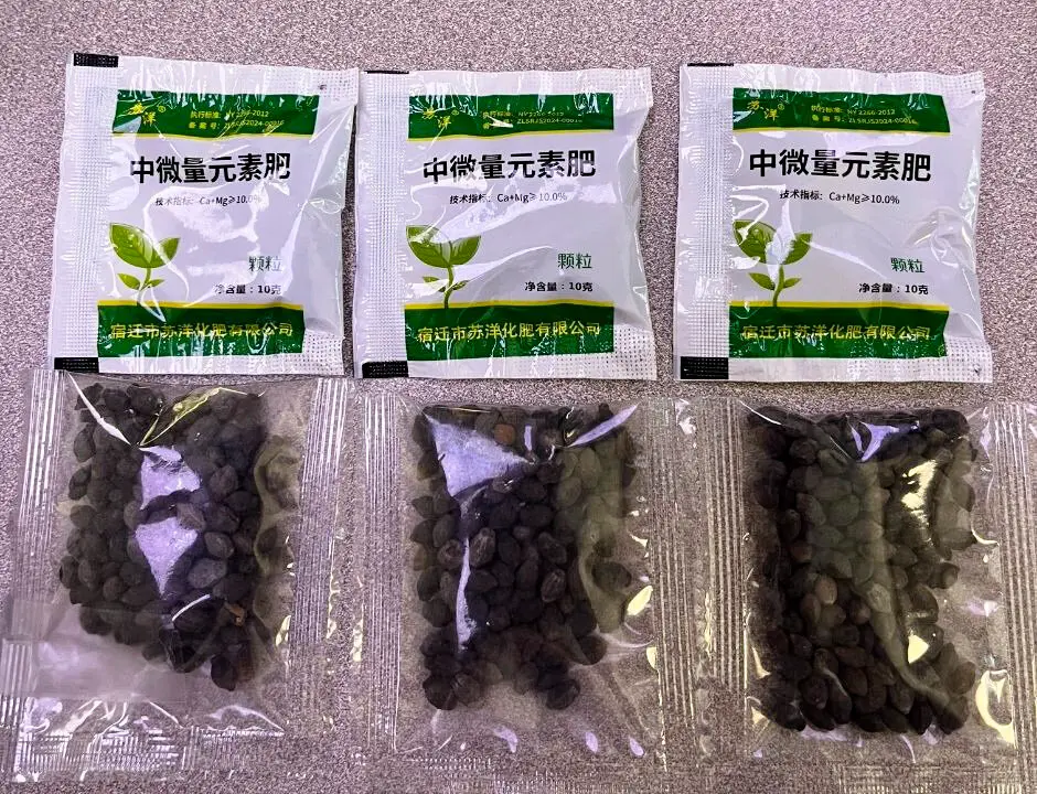 Texans Report Surge in Mystery Seeds Mailed From China