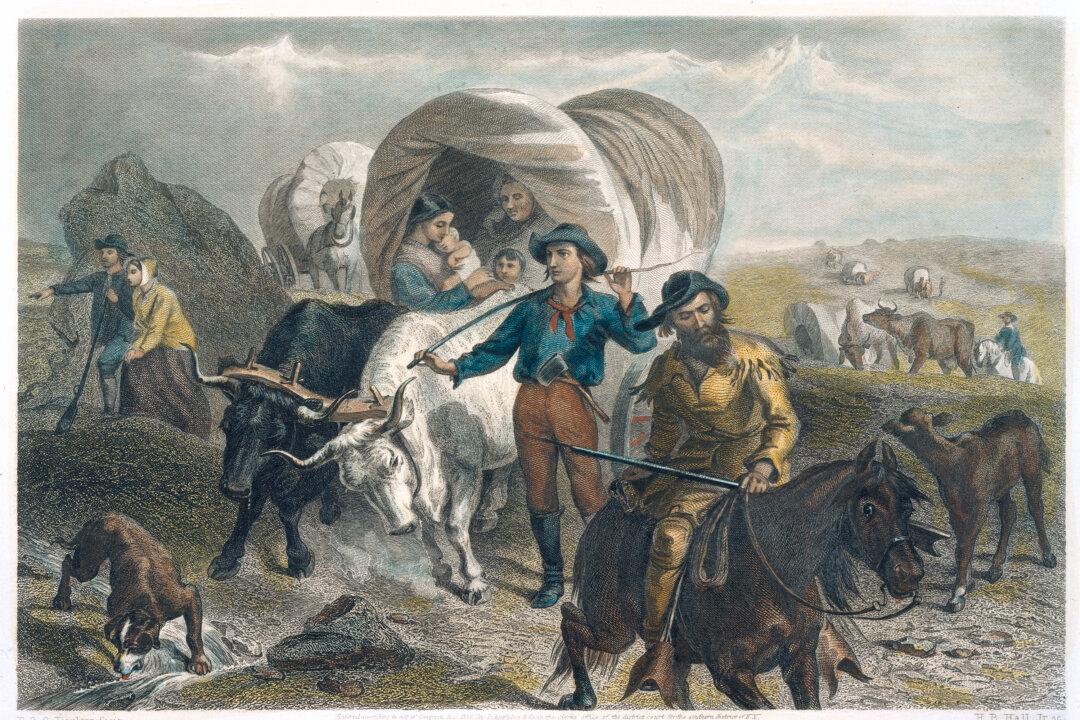 Cows Versus Other Assets: When Wealth Has a Heartbeat