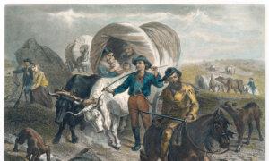 Cows Versus Other Assets: When Wealth Has a Heartbeat