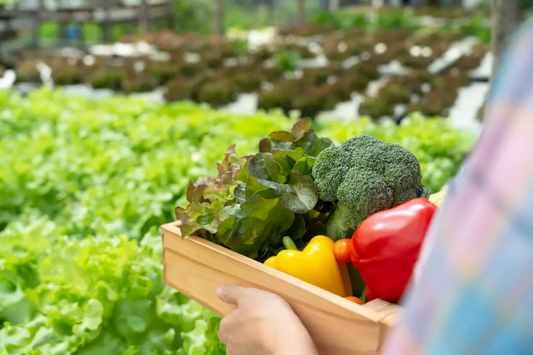 Finding Common Ground at Red Acre Farm and Center