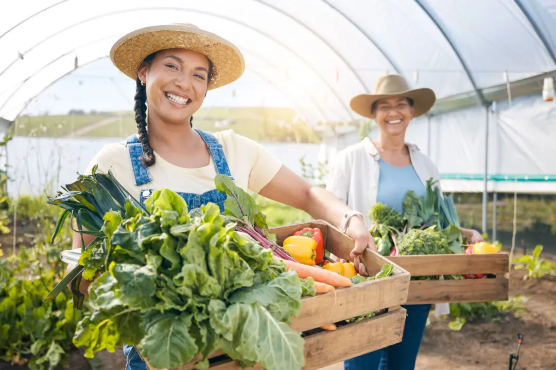 If You Give a Mom a Mandate