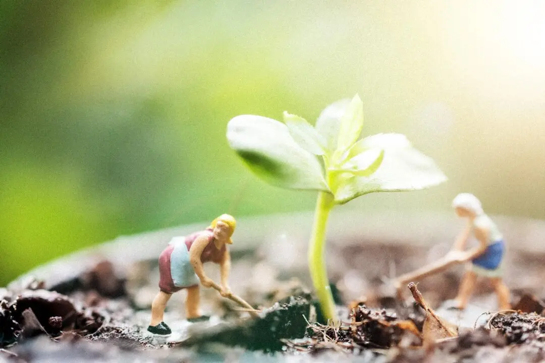 How to Keep Growing as a Person