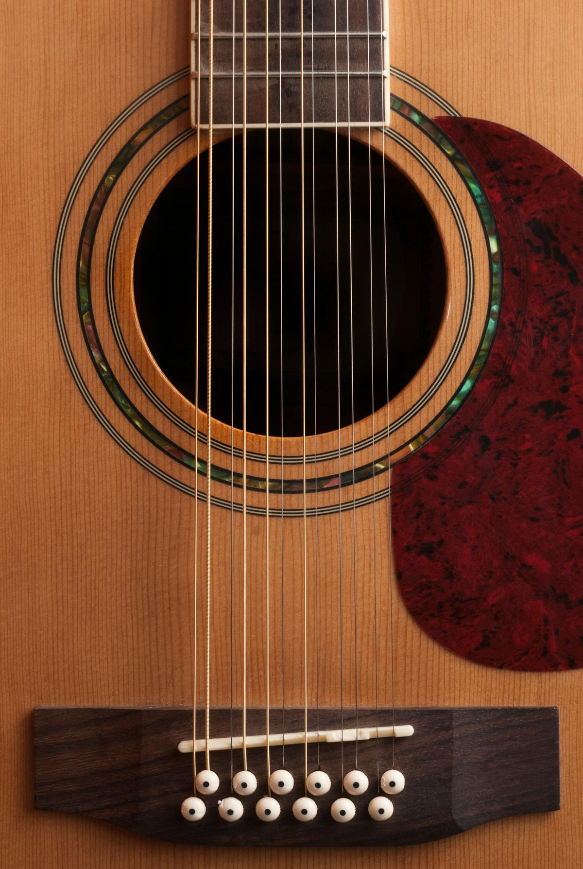 A detail of the body and strings of an acoustic 12-string guitar. (Cristian Storto/Shutterstock)