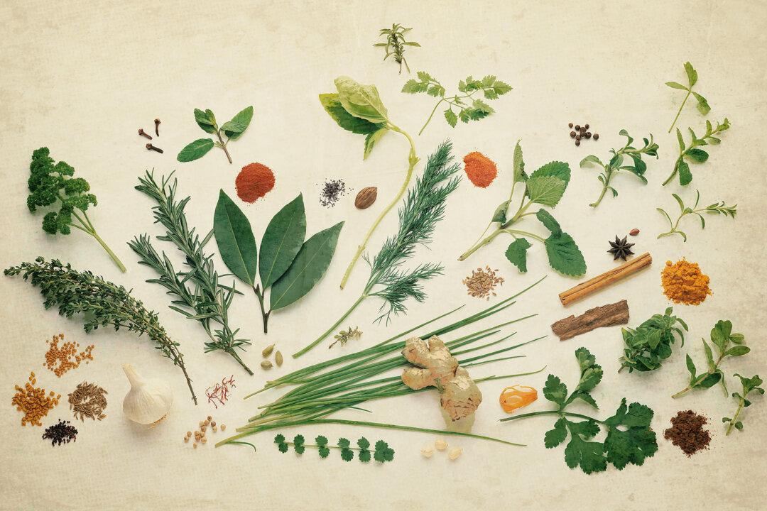 8 Things to Know About Herbs Before Using Them
